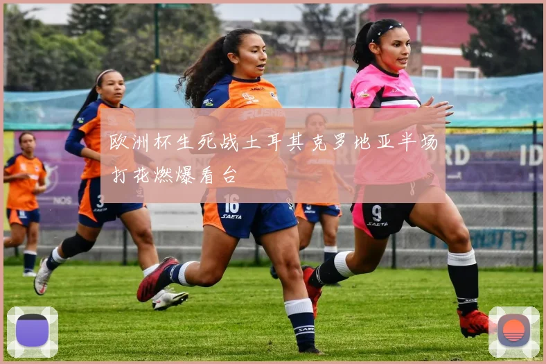 欧洲杯生死战土耳其克罗地亚半场打花燃爆看台