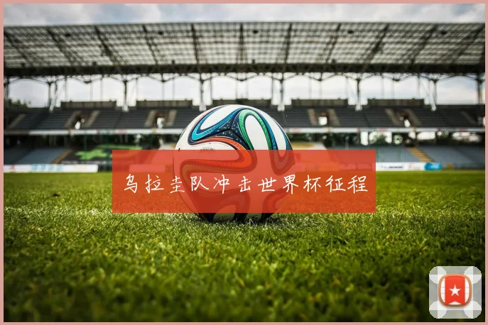乌拉圭队冲击世界杯征程