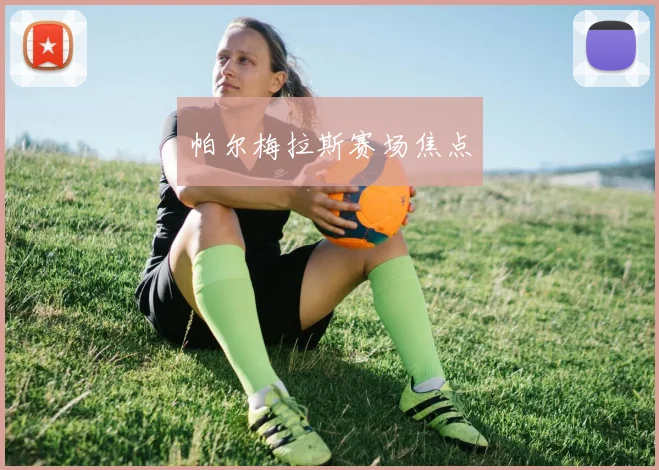 帕尔梅拉斯赛场焦点