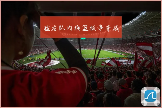 猛龙队内线篮板争夺战