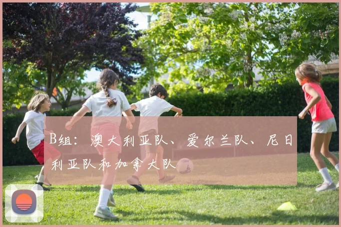 B组：澳大利亚队、爱尔兰队、尼日利亚队和加拿大队