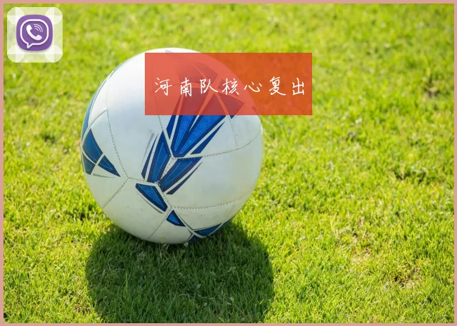 河南队核心复出