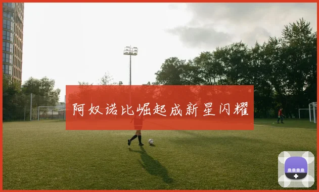 阿奴诺比崛起成新星闪耀