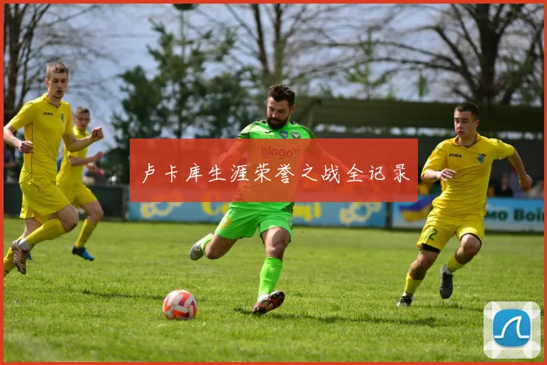 卢卡库生涯荣誉之战全记录