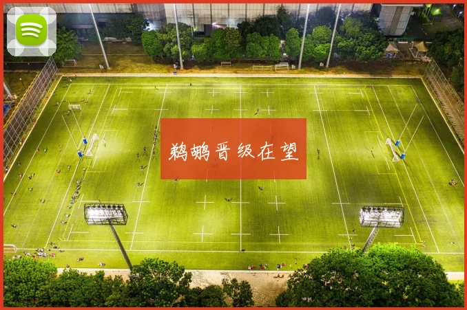 鹈鹕晋级在望