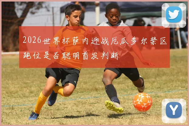 2026世界杯萨内迎战厄瓜多尔禁区跑位是否聪明首发判断