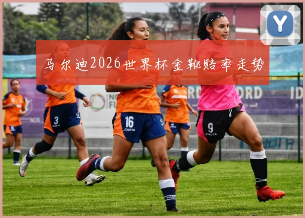 马尔迪2026世界杯金靴赔率走势